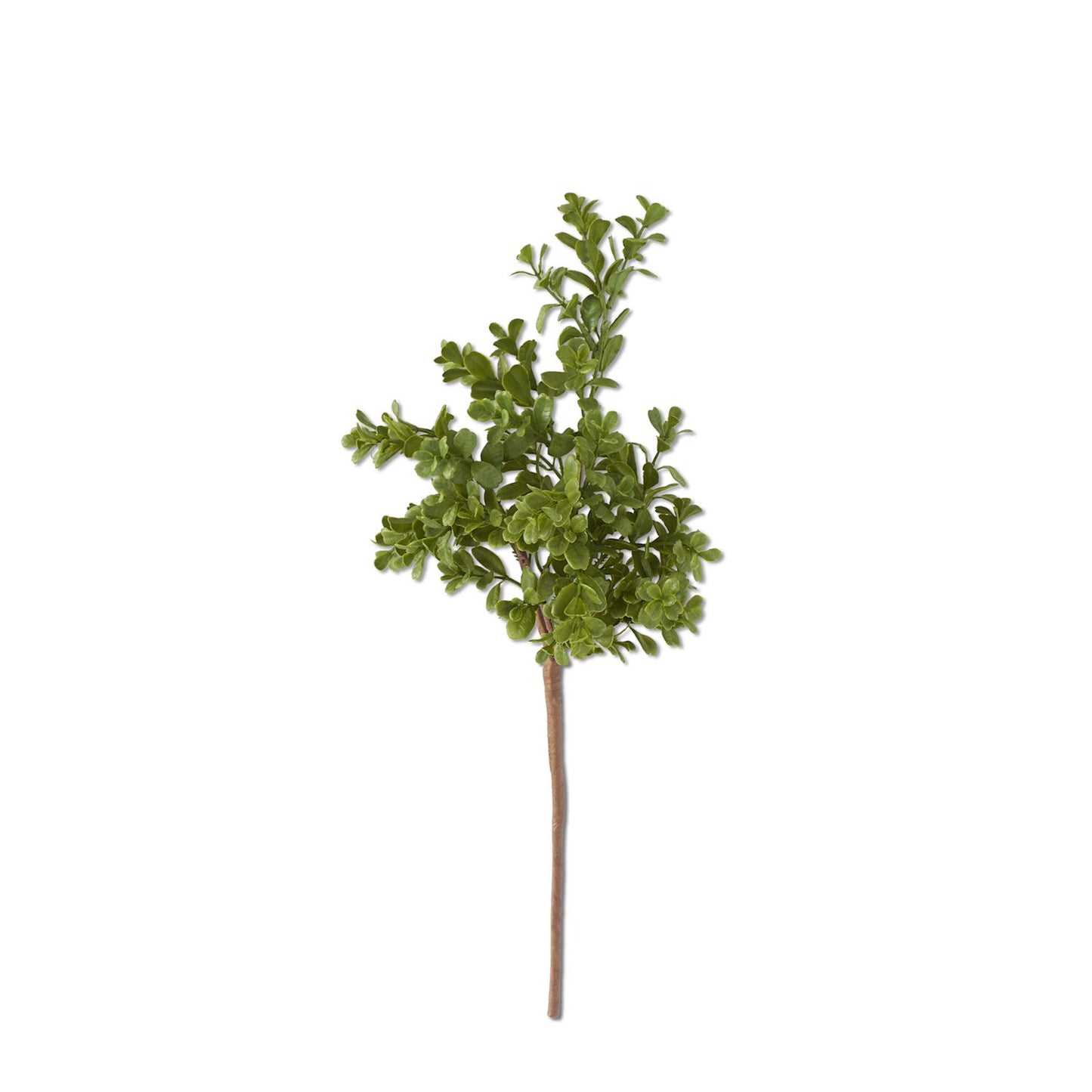 Boxwood Pick, 18"