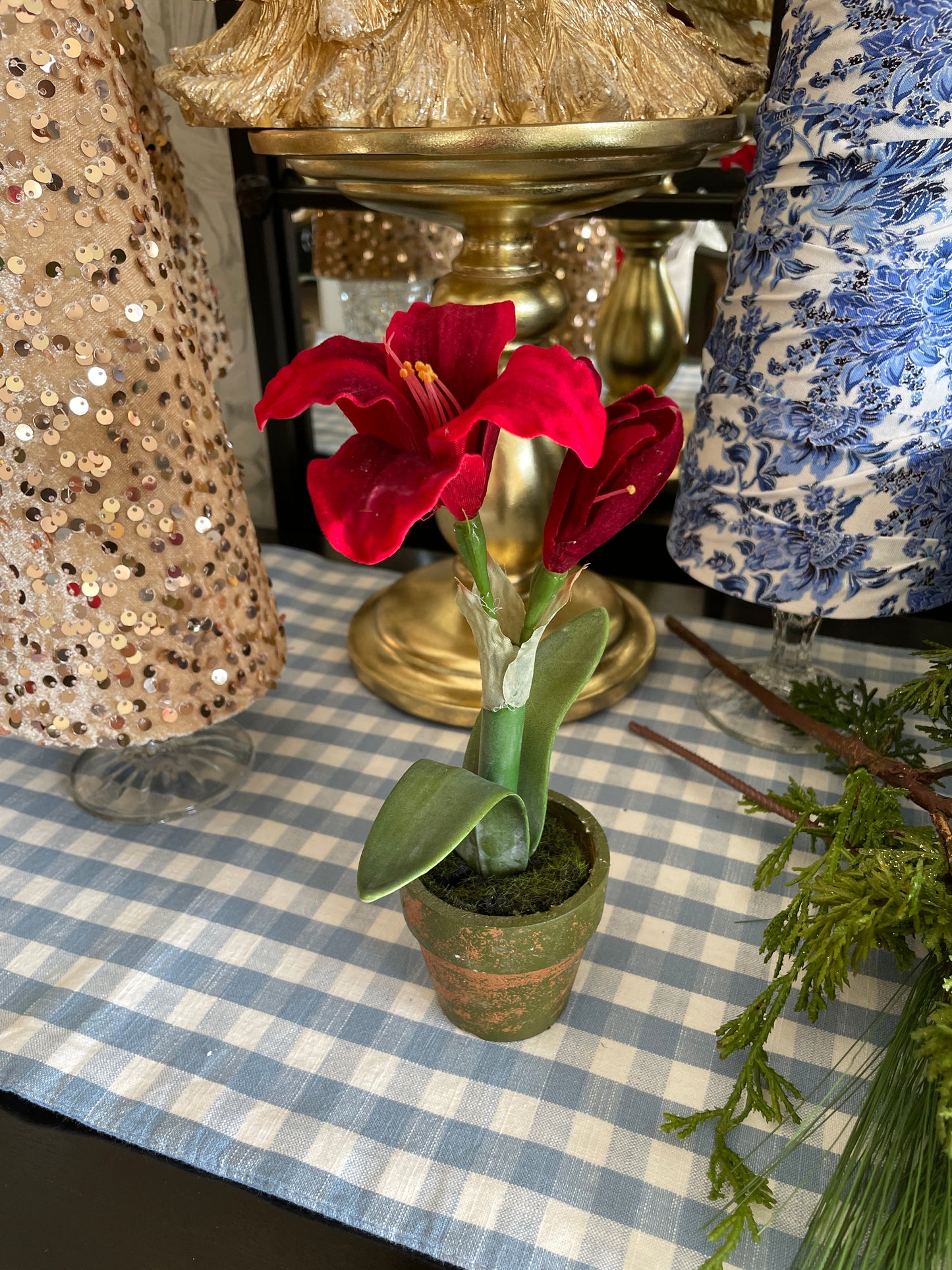 Potted Holiday Plants