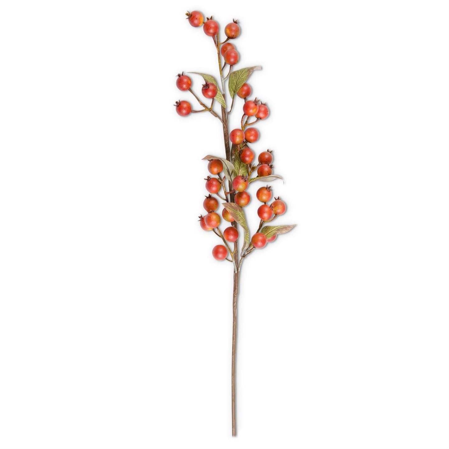Rosehip Stem