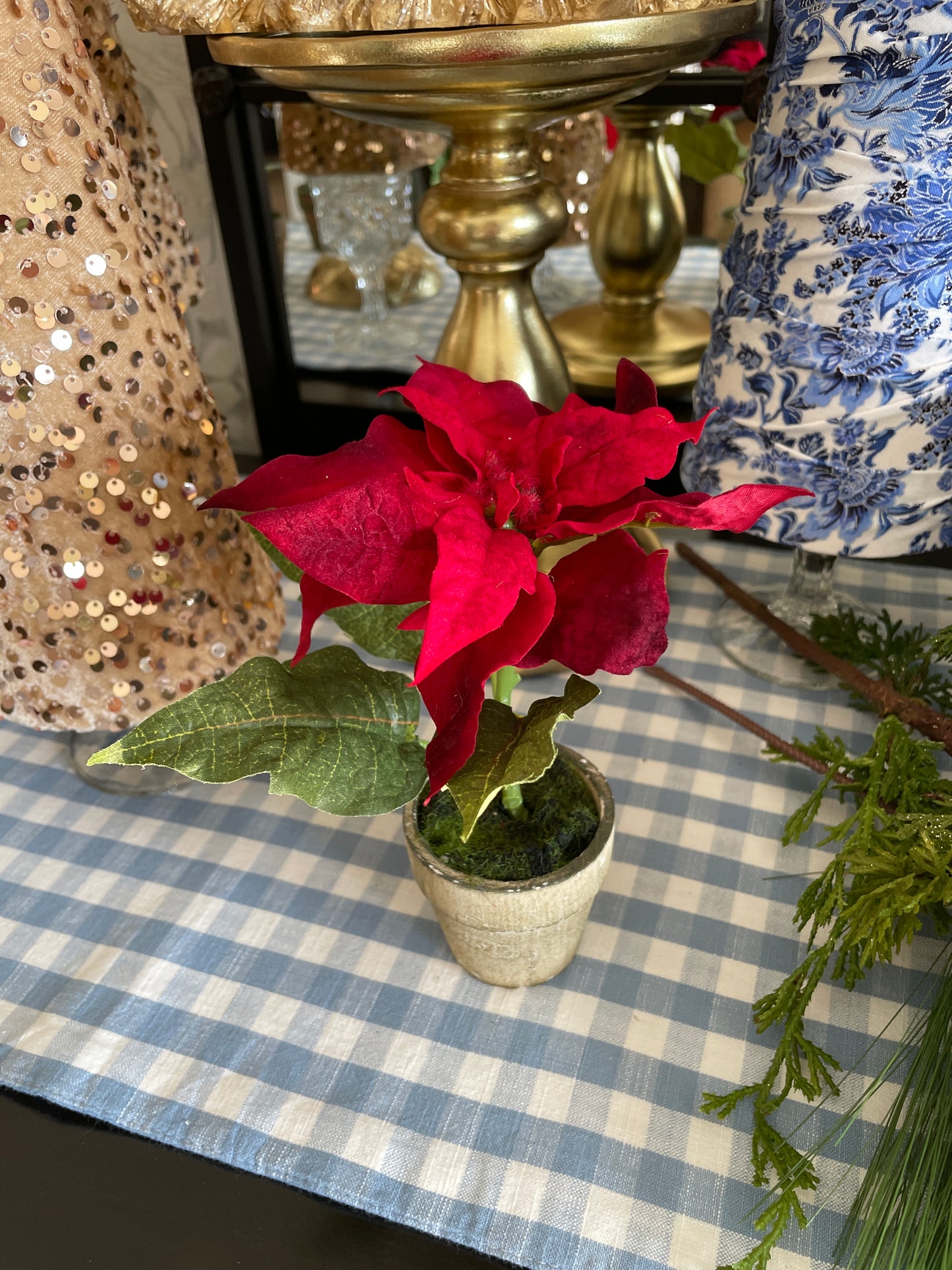 Potted Holiday Plants