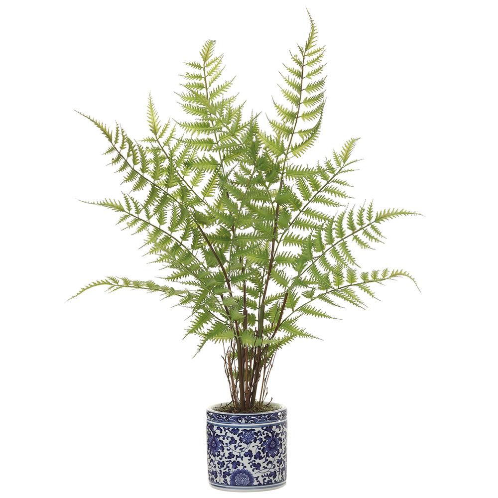 Fern Plant in Blue and White Porcelain