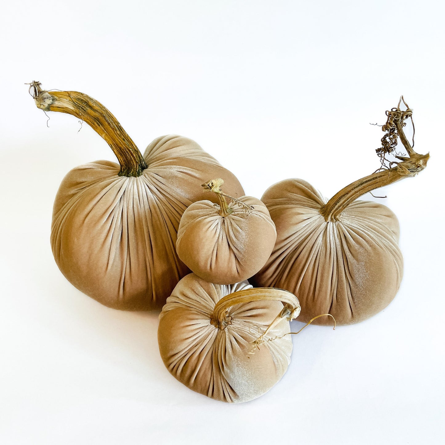 Sand Velvet Pumpkins