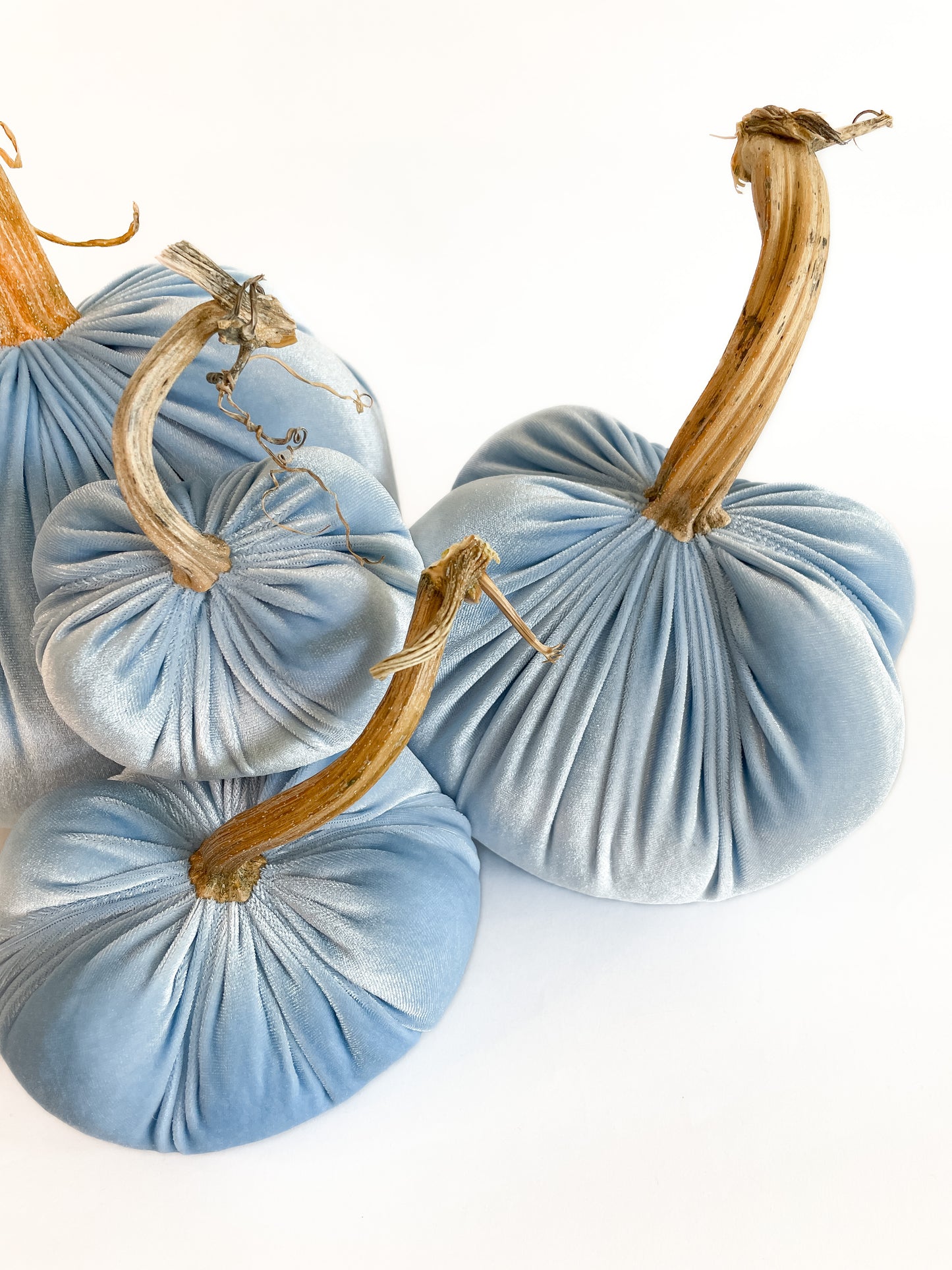 Powder Blue Velvet Pumpkins with Real Stem, Fall Decor,Sold Individually
