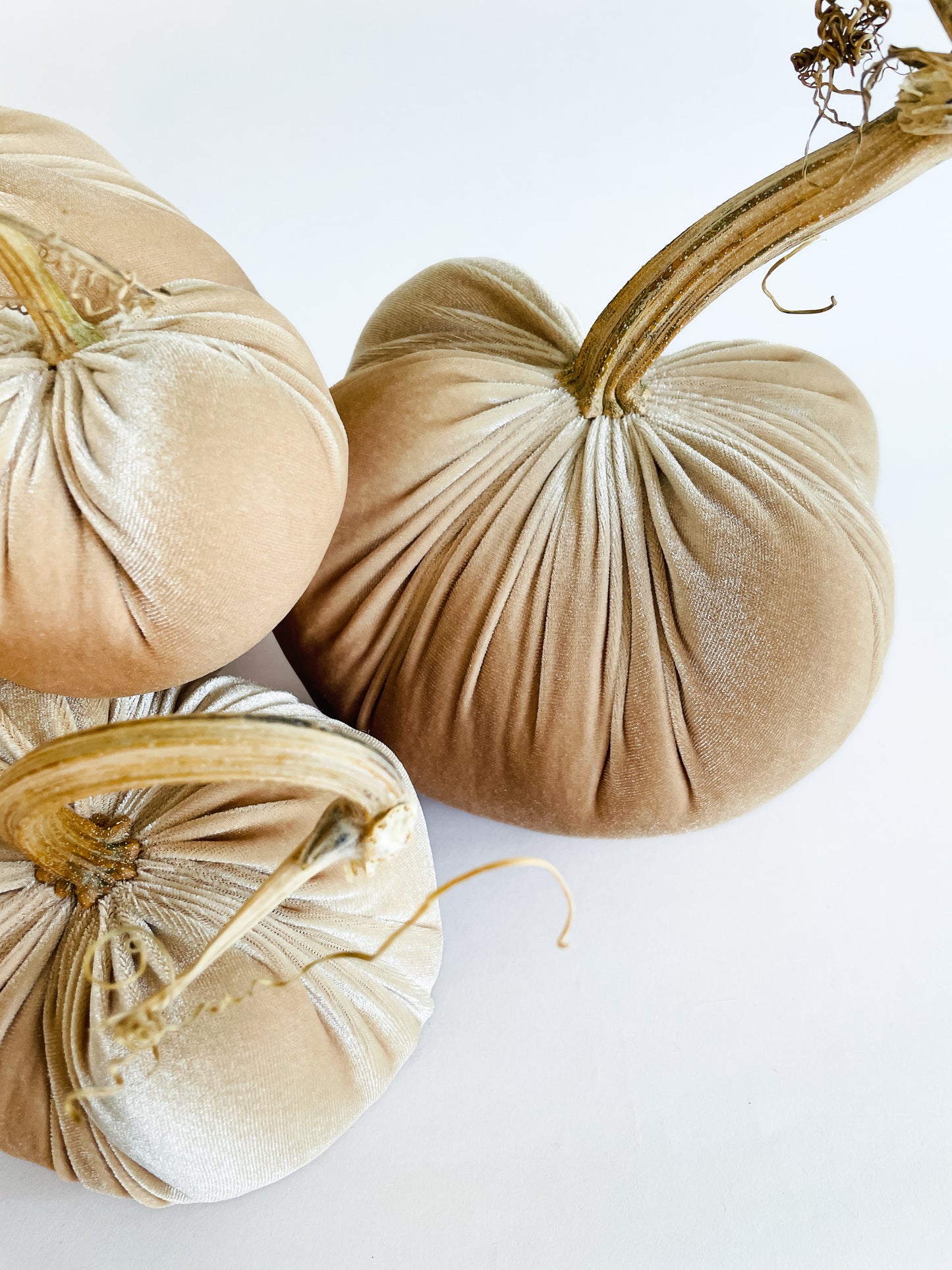 Sand Velvet Pumpkins