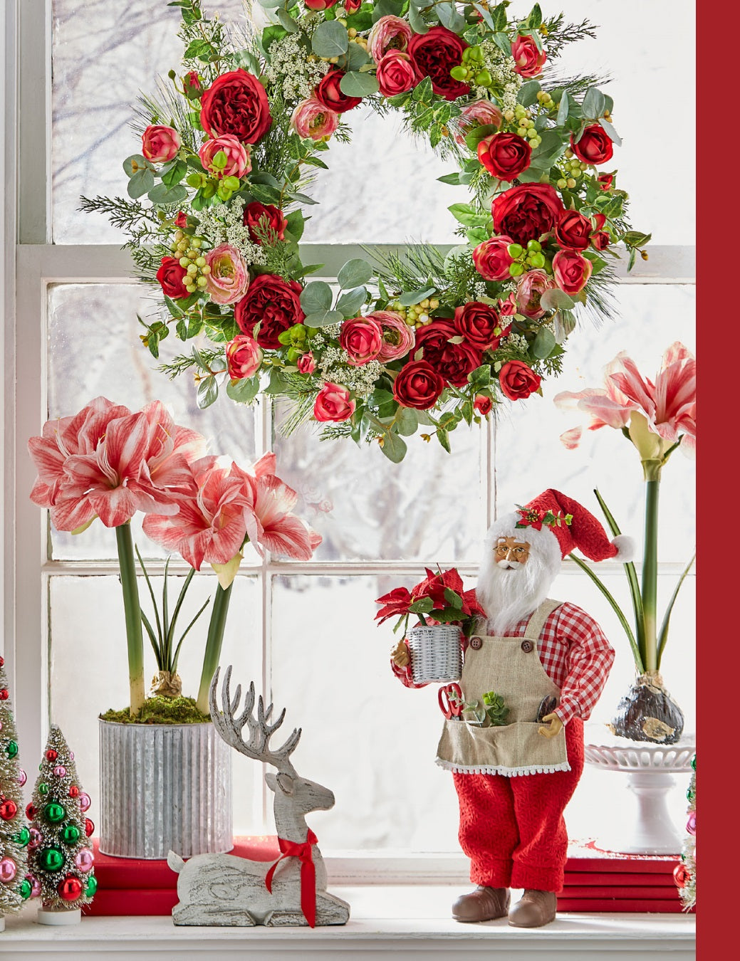Amaryllis Bulb