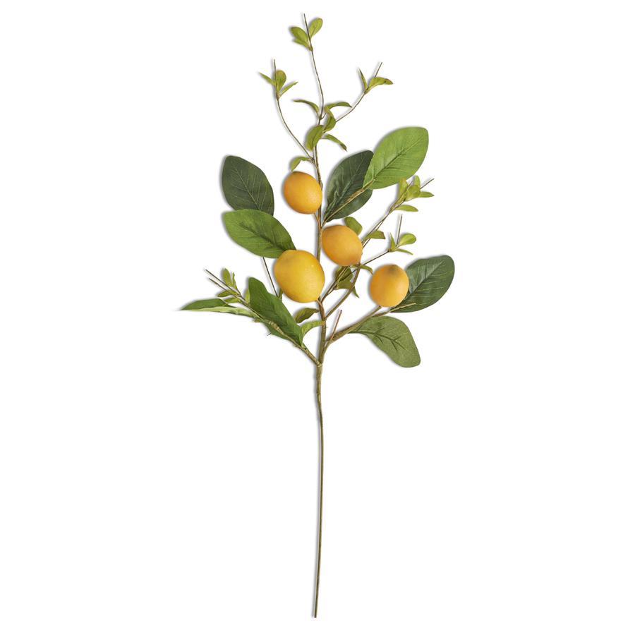 Lemon Stem