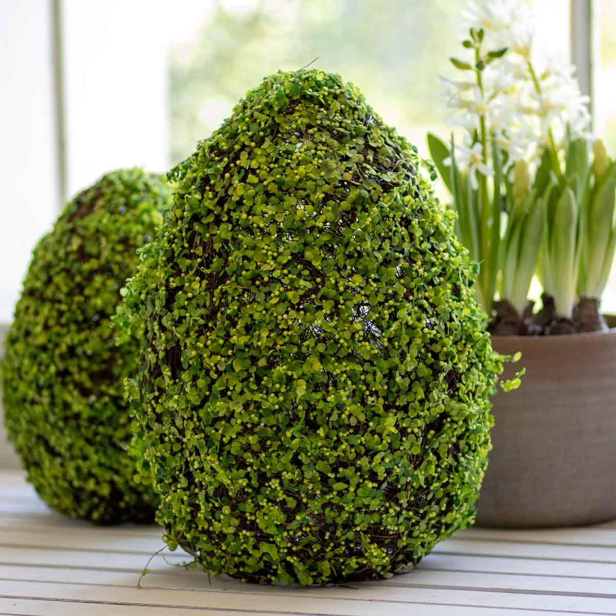 Moss Eggs