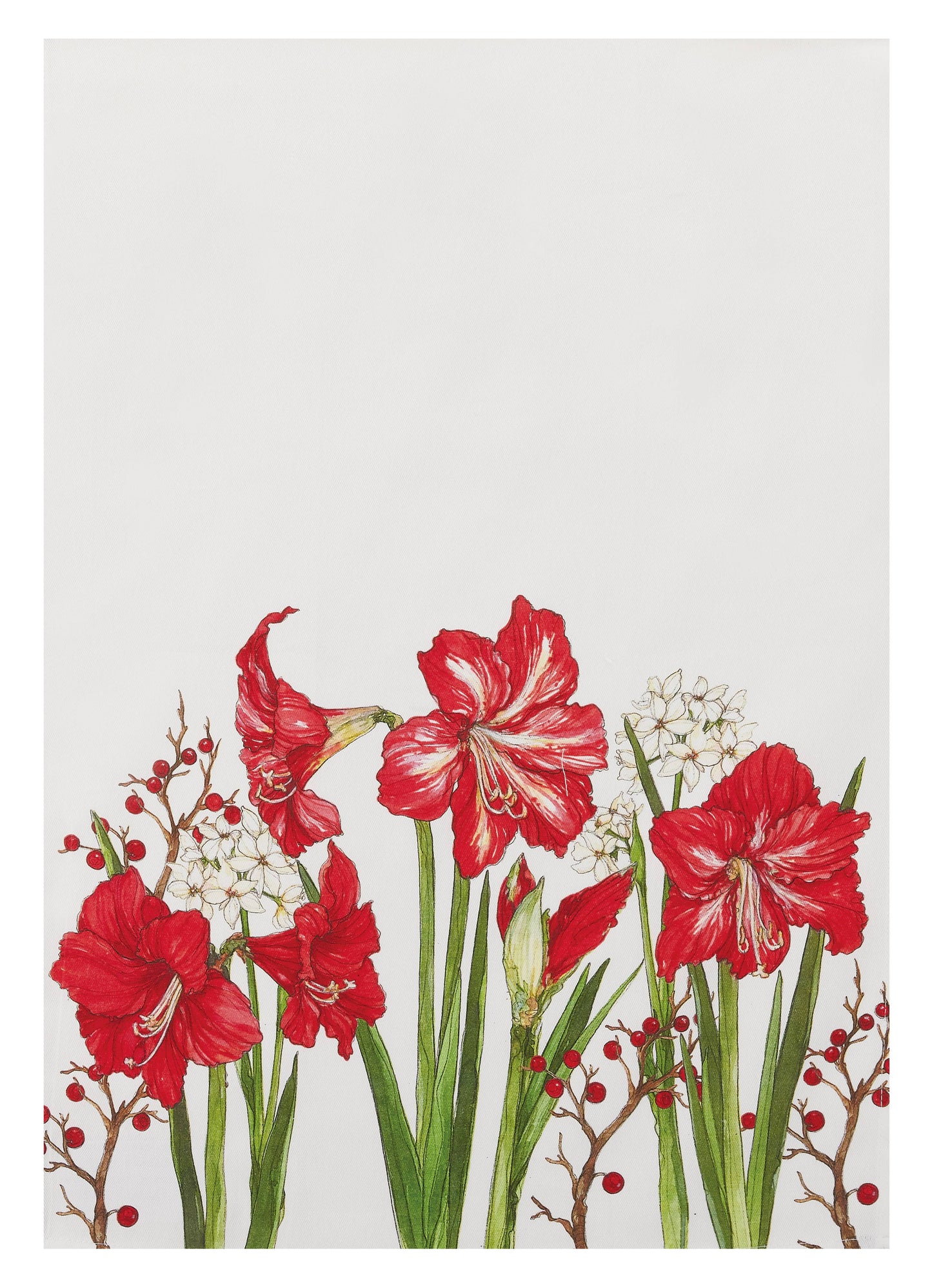 Amaryllis Bloom Kitchen Towel