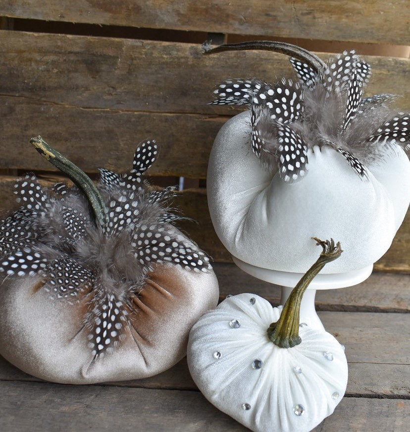 Velvet Pumpkin in Cream with Guinea Feathers