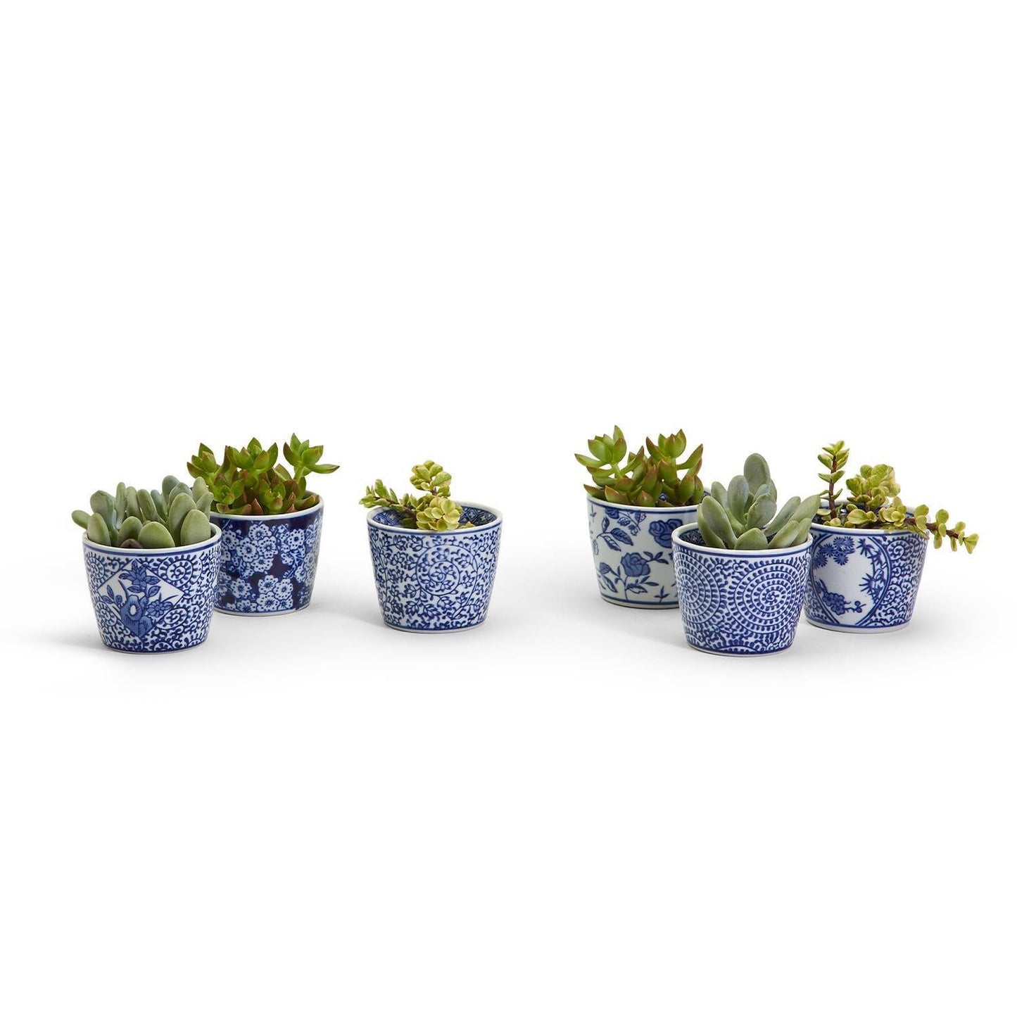 Blue and White Cachet Pot