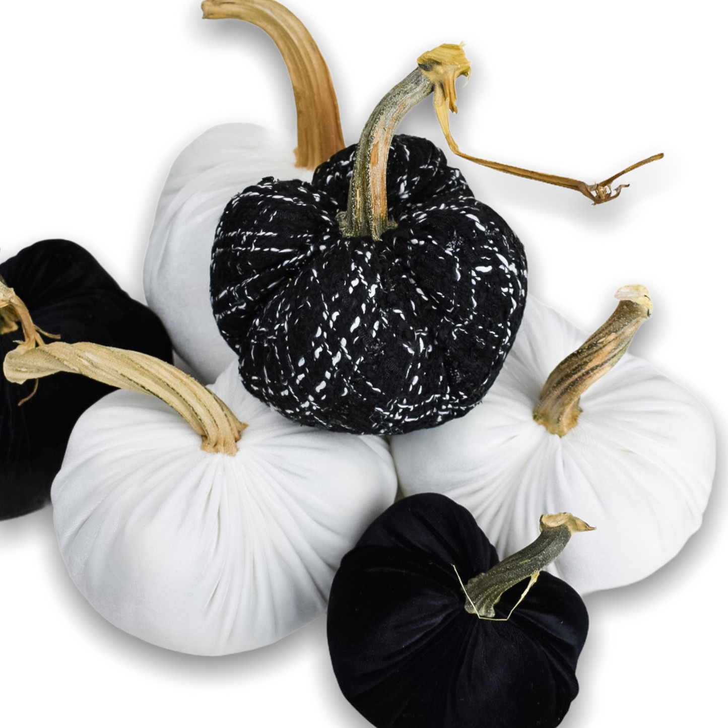 Black with White Accent Tweed Pumpkin