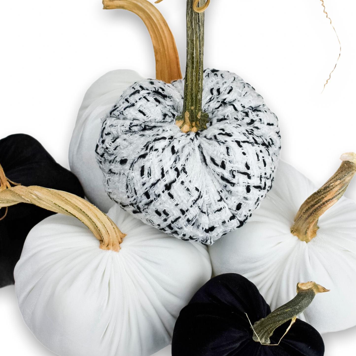 White with Black Accent Tweed Pumpkin
