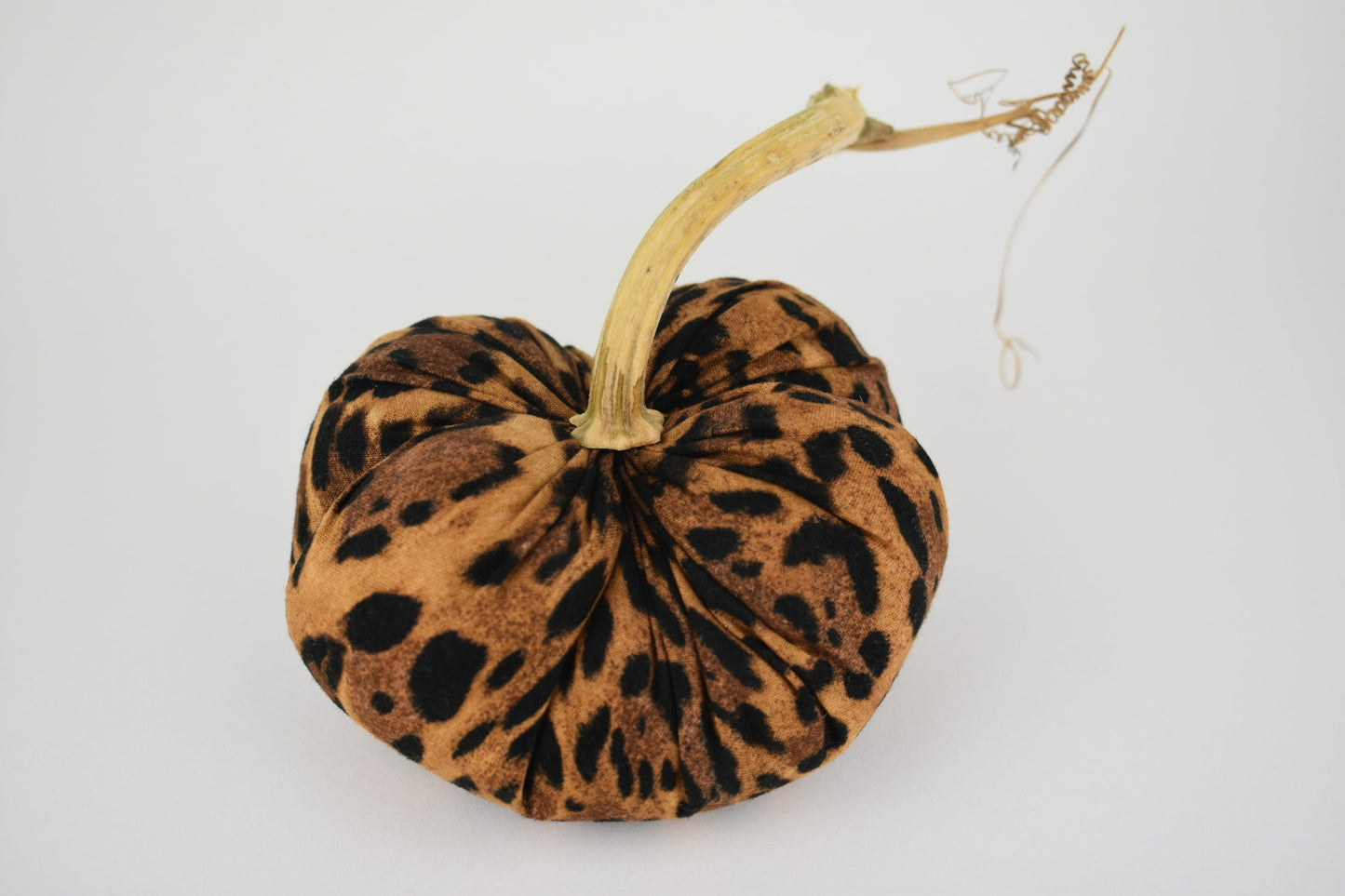 Leopard Pumpkin