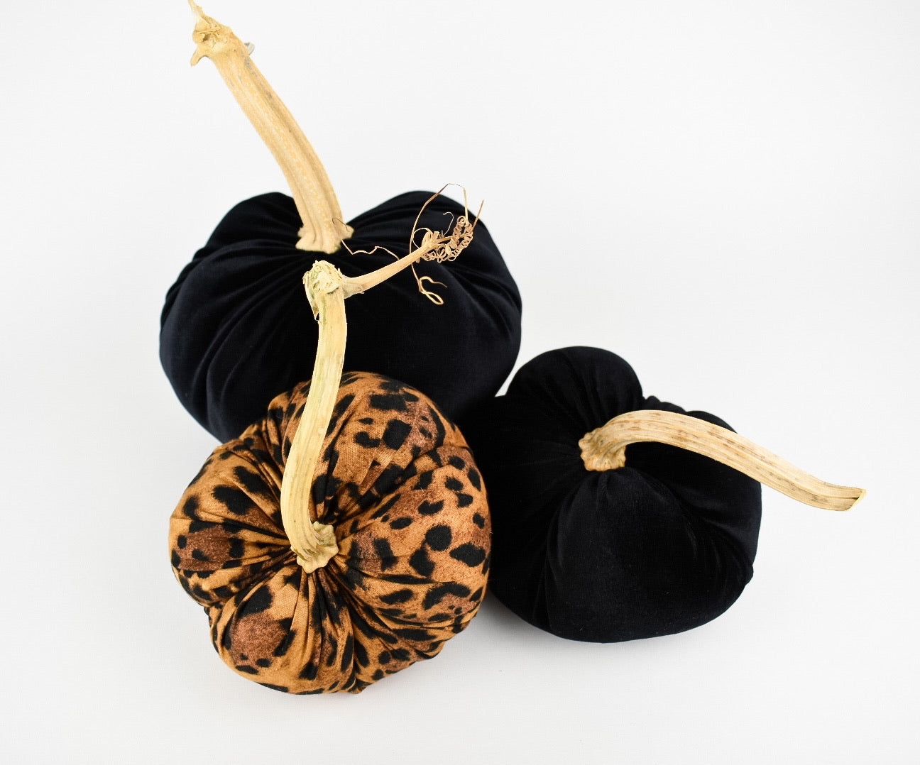 Velvet Pumpkin in Black with a Real Stem, Fall Decor,Sold Individually