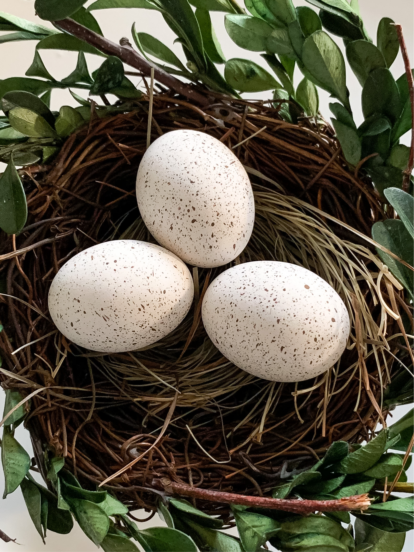 Speckled Quail Eggs