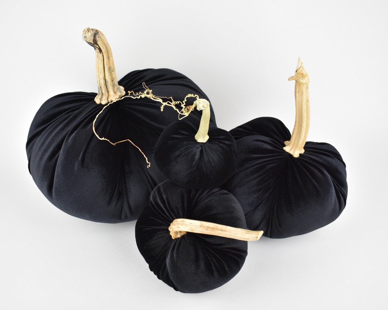 Velvet Pumpkin in Black with a Real Stem, Fall Decor,Sold Individually