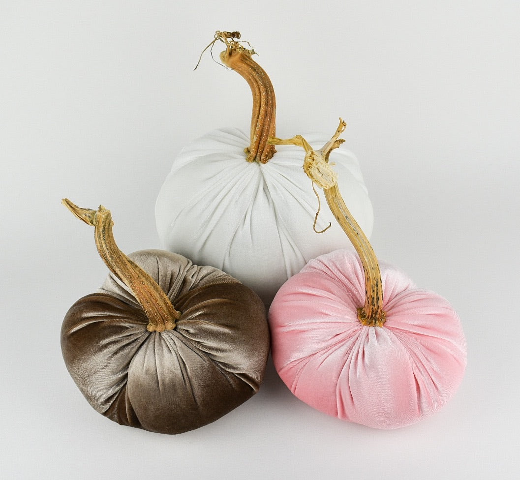 Velvet Pumpkin in Champagne with a Real Stem, Fall Decor,Sold Individually