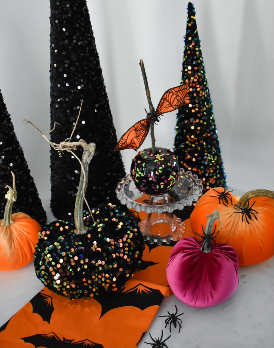 Irradecent Sequin Embellished in Black