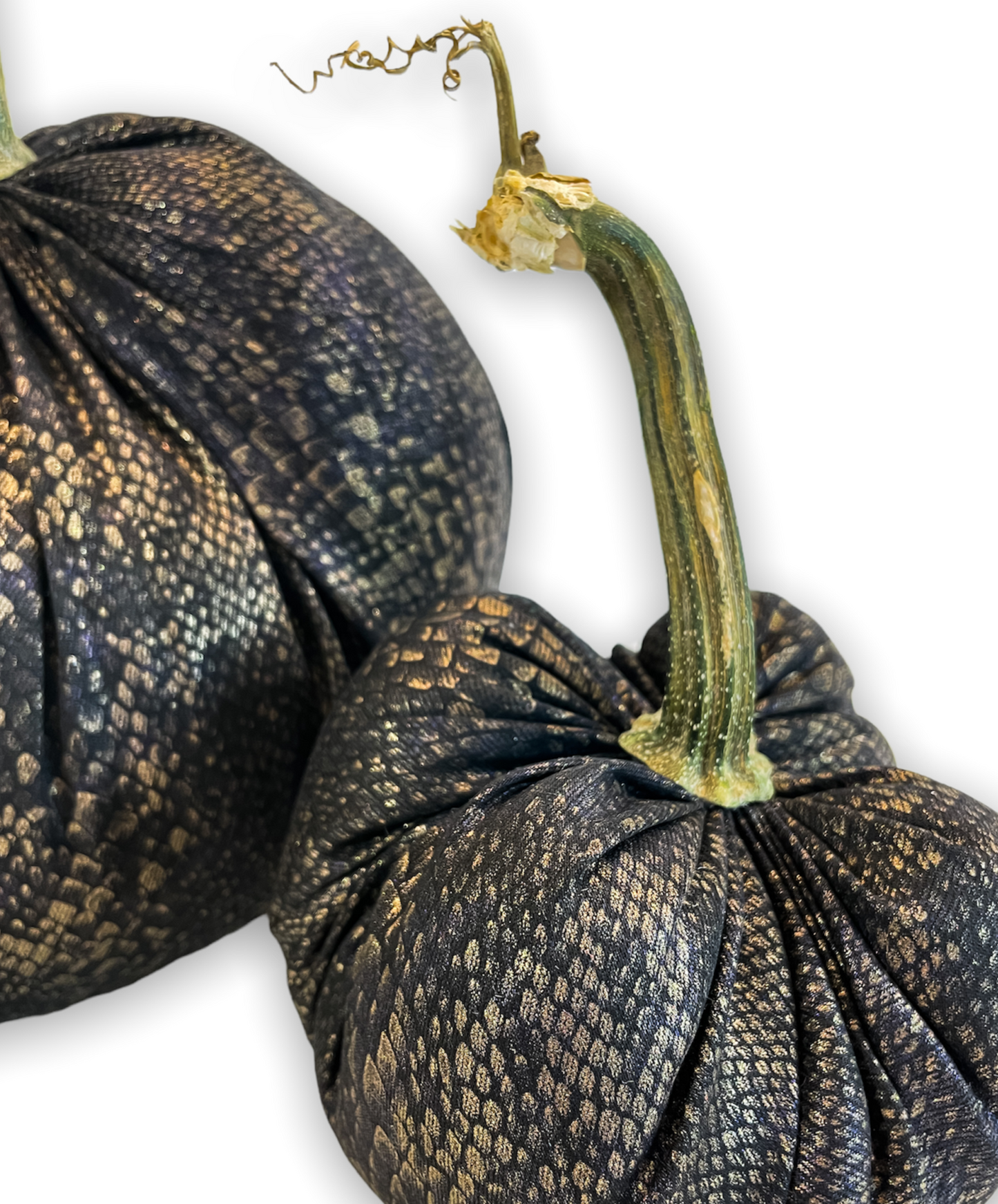 Snakeskin Pumpkin