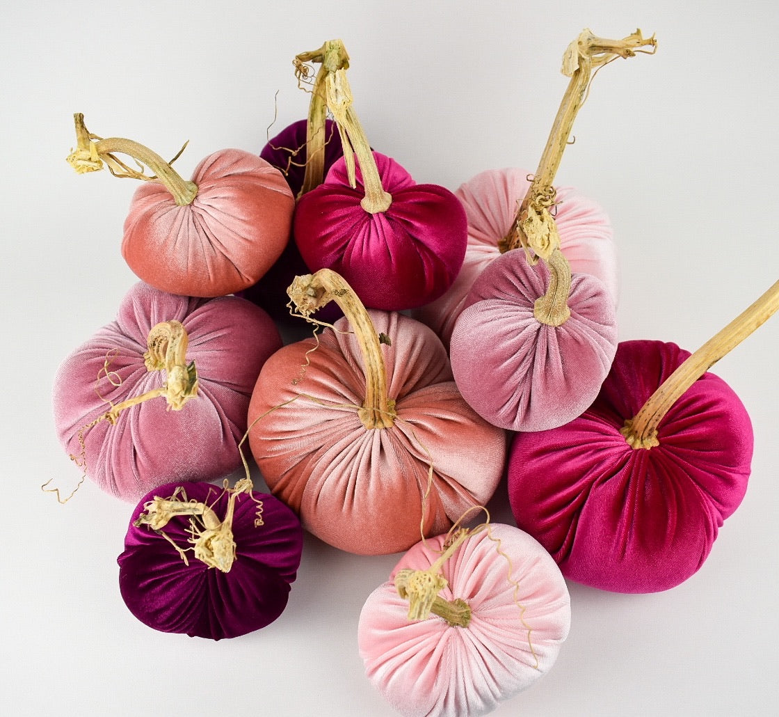 Velvet Pumpkin in Fuchsia with a Real Stem, Fall Decor,Sold Individually