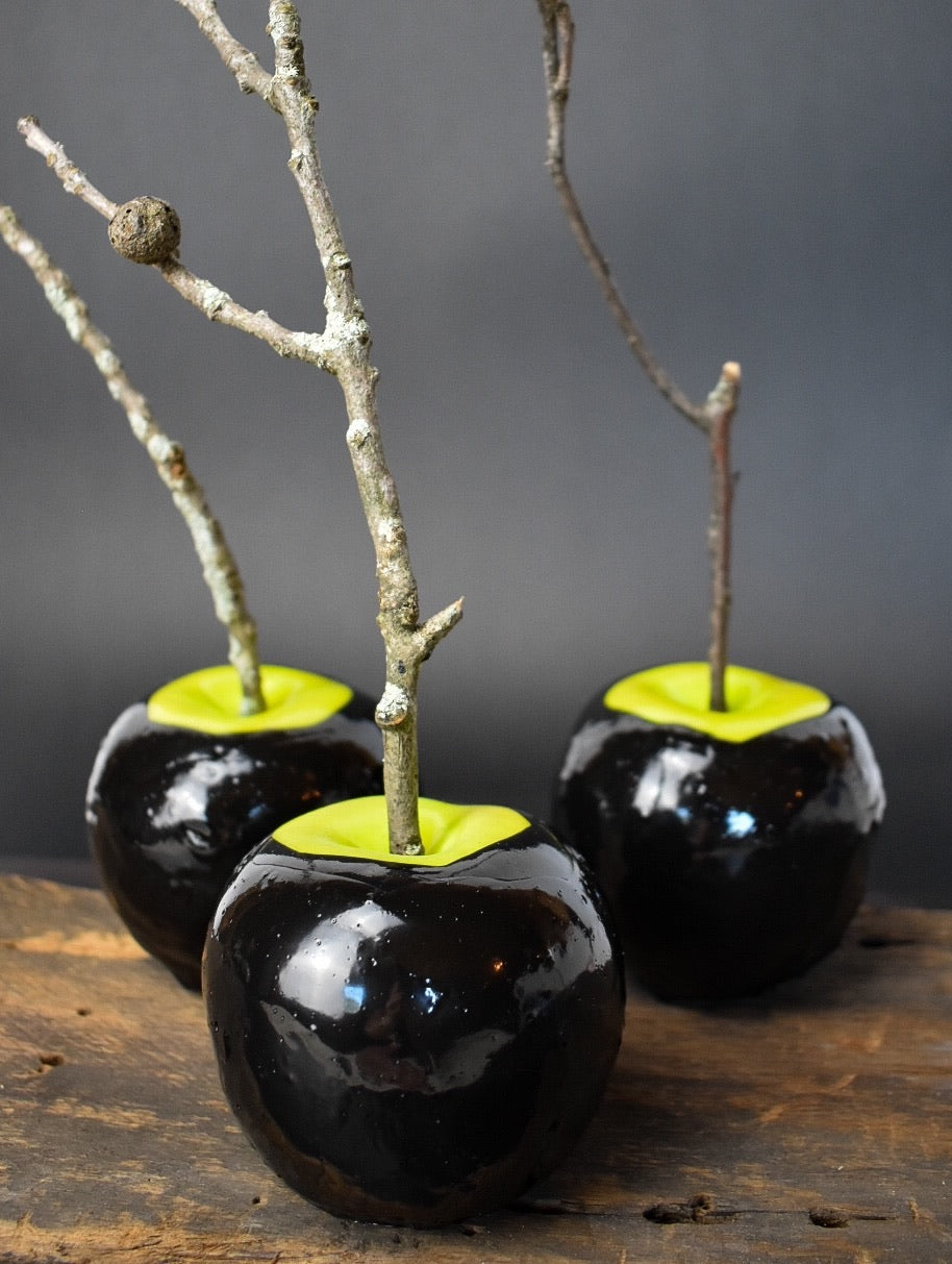 poison apple succulent Permanent Poison Apple, Sold Individually – The Permanent Garden