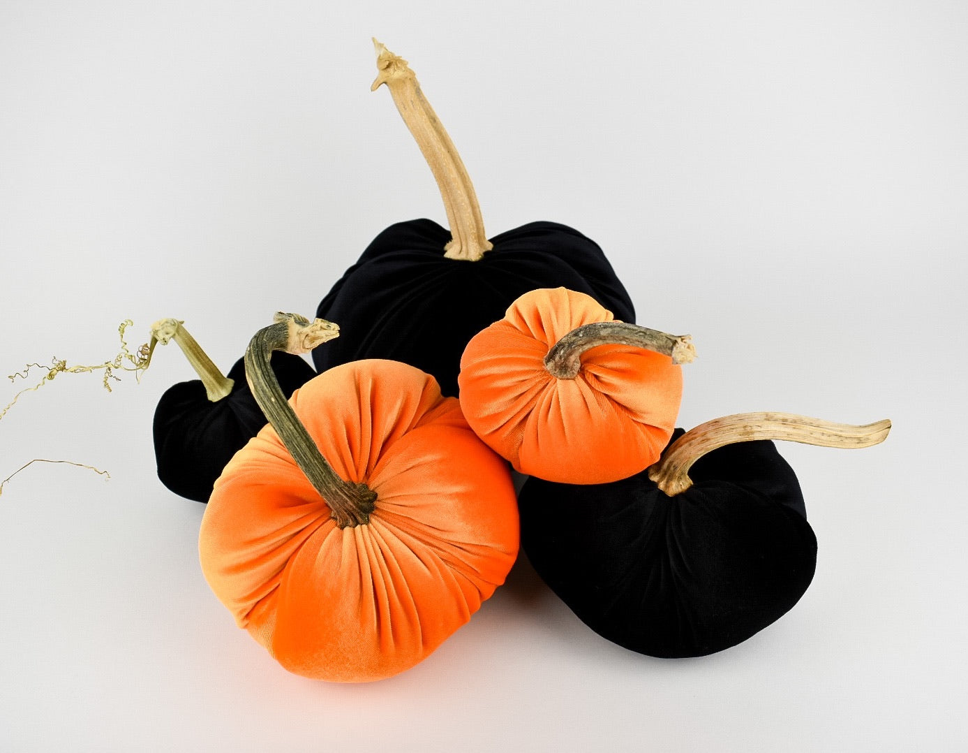 Velvet Pumpkin in Black with a Real Stem, Fall Decor,Sold Individually