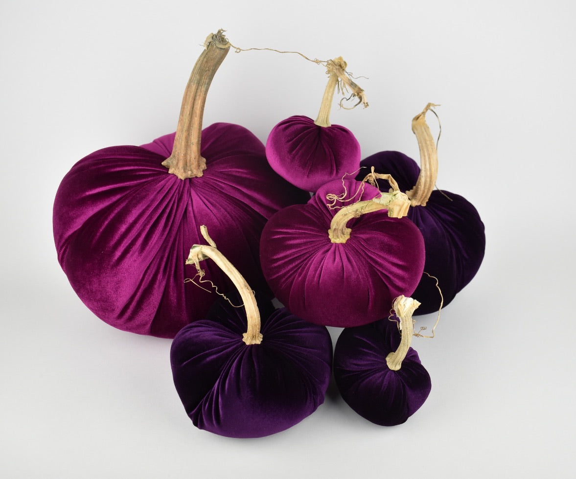 Velvet Pumpkin in Magenta
