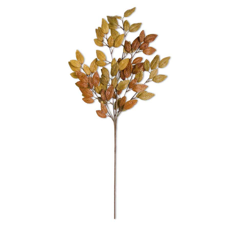 Grass and Leaf Stems