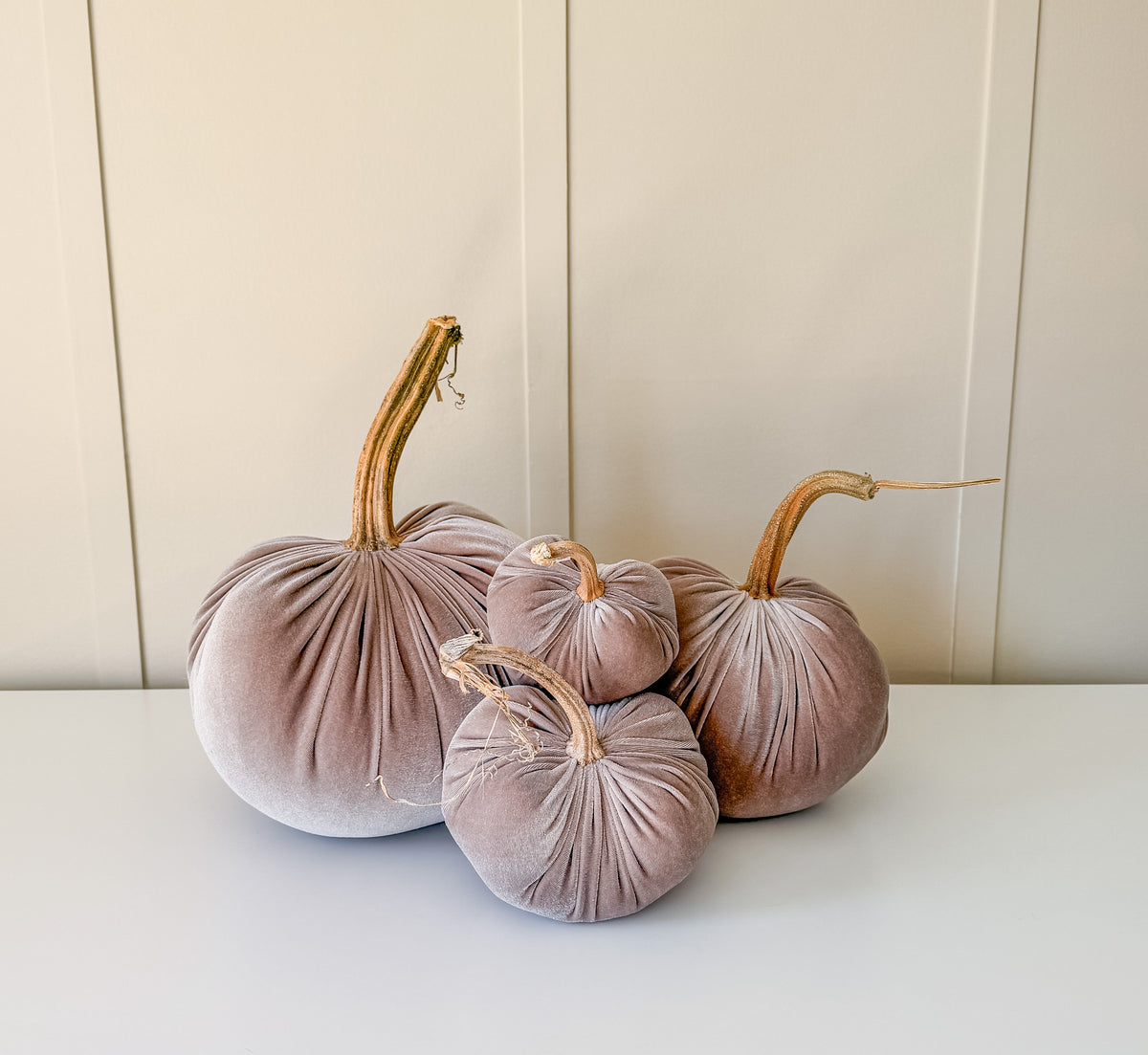 Driftwood Velvet Pumpkins with Real Stem, Fall Decor