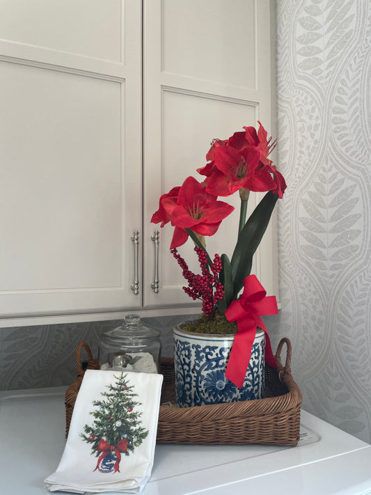 Potted Amaryllis, 26"