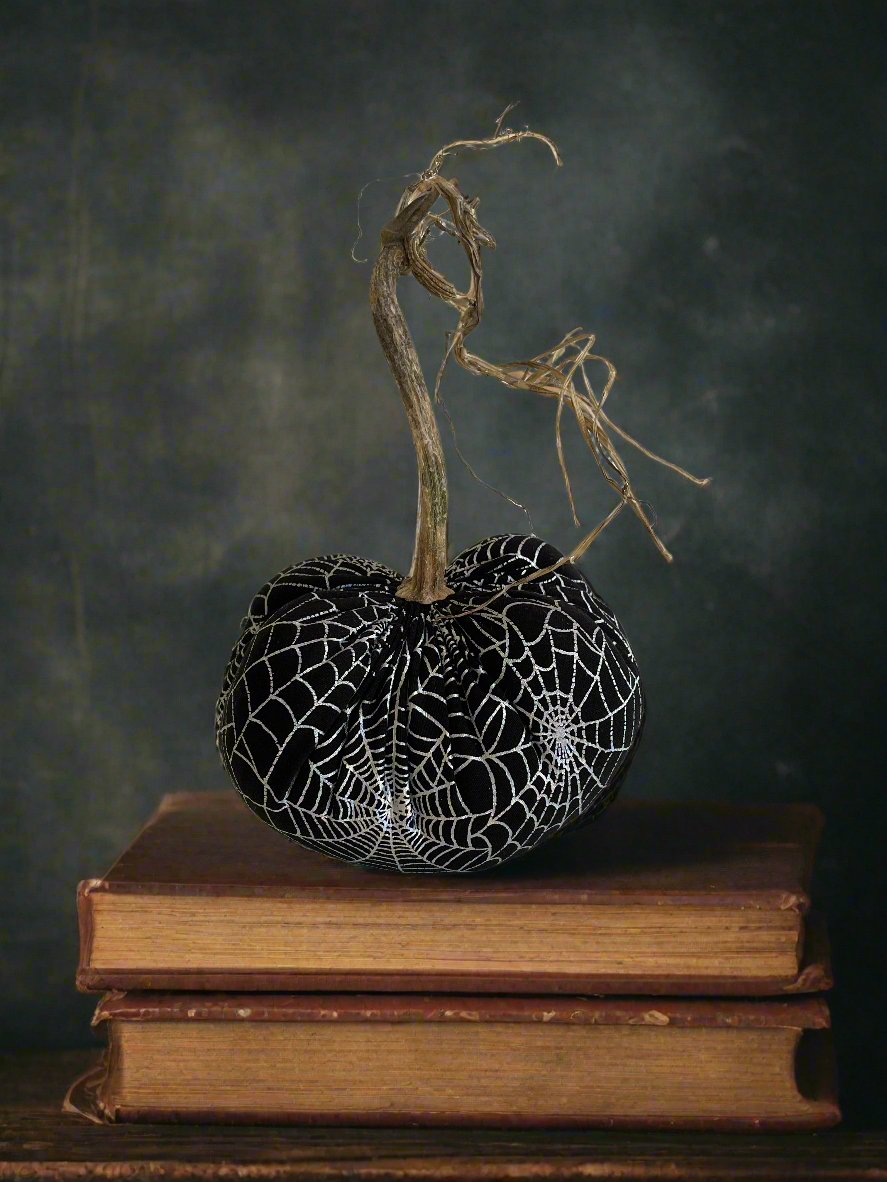 Spider Web Pumpkin with Real Stem