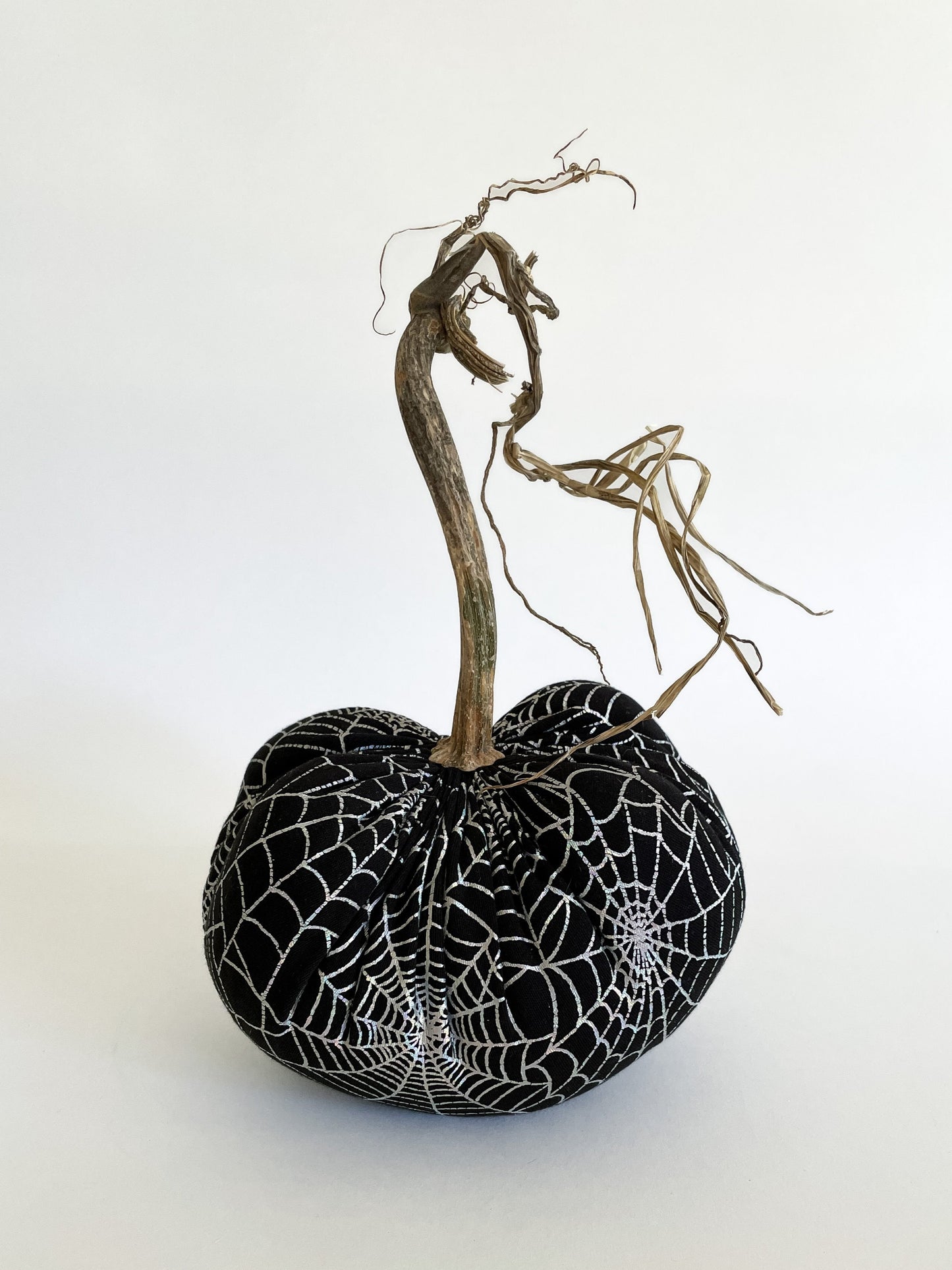 Spider Web Pumpkin with Real Stem