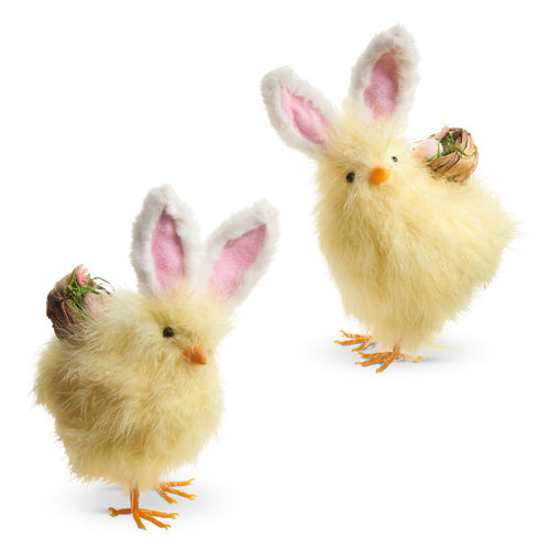 Baby Chicks with Rabbit Ears, Set of 2