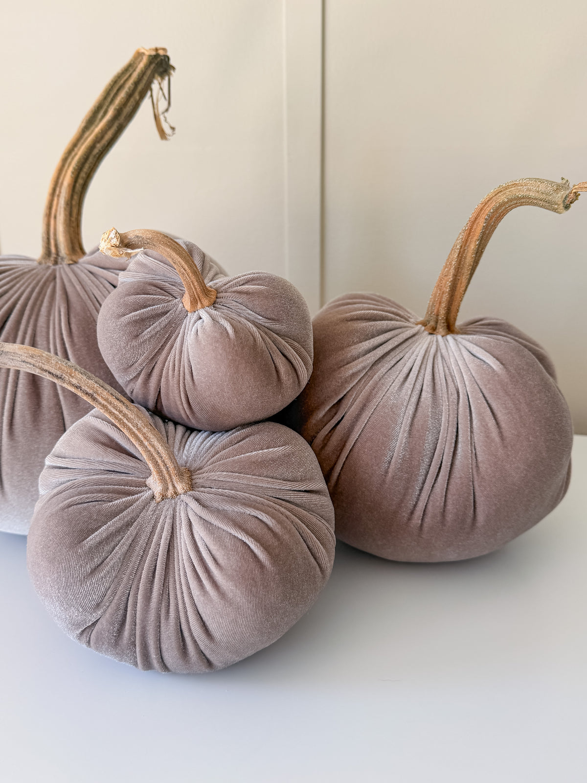 Driftwood Velvet Pumpkins with Real Stem, Fall Decor