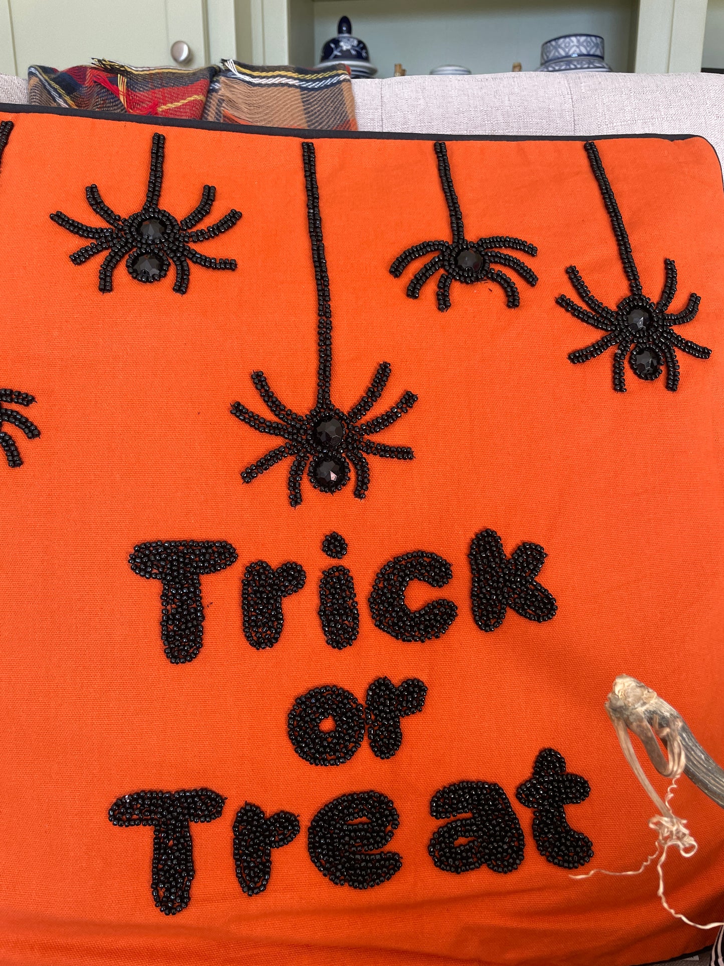 Trick or Treat Pillow With Spiders