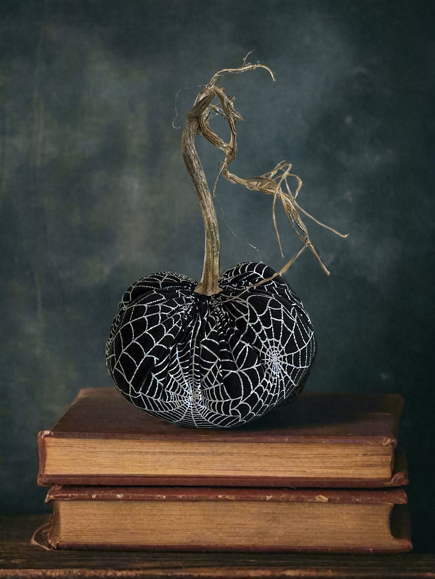 Spider Web Pumpkin with Real Stem
