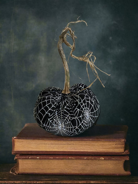 Spider Web Pumpkin with Real Stem