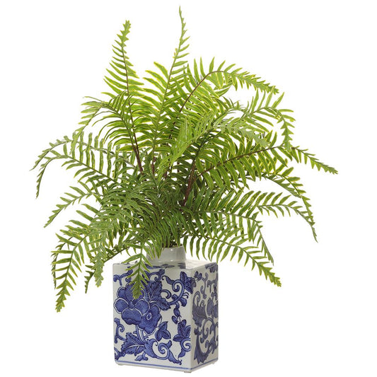 Boston Fern In Blue and White Porcelain