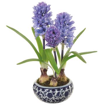 Purple Hyacinth Planter
