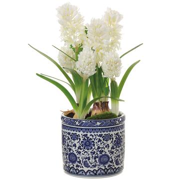 White Hyacinth Planter