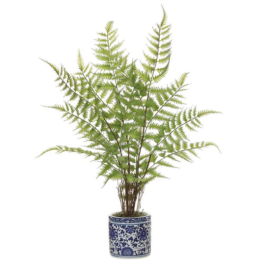 Fern Plant in Blue and White Porcelain