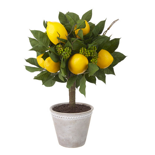 Lemon Potted Topiary