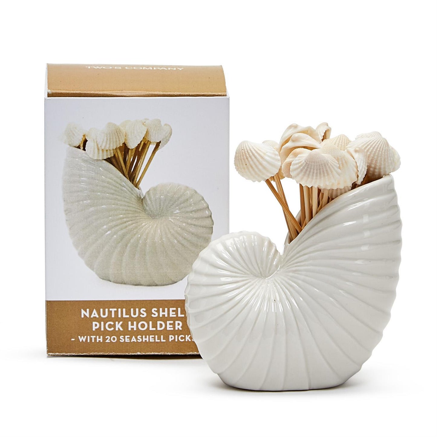 Nautilus Shell with 20 Seashell Picks