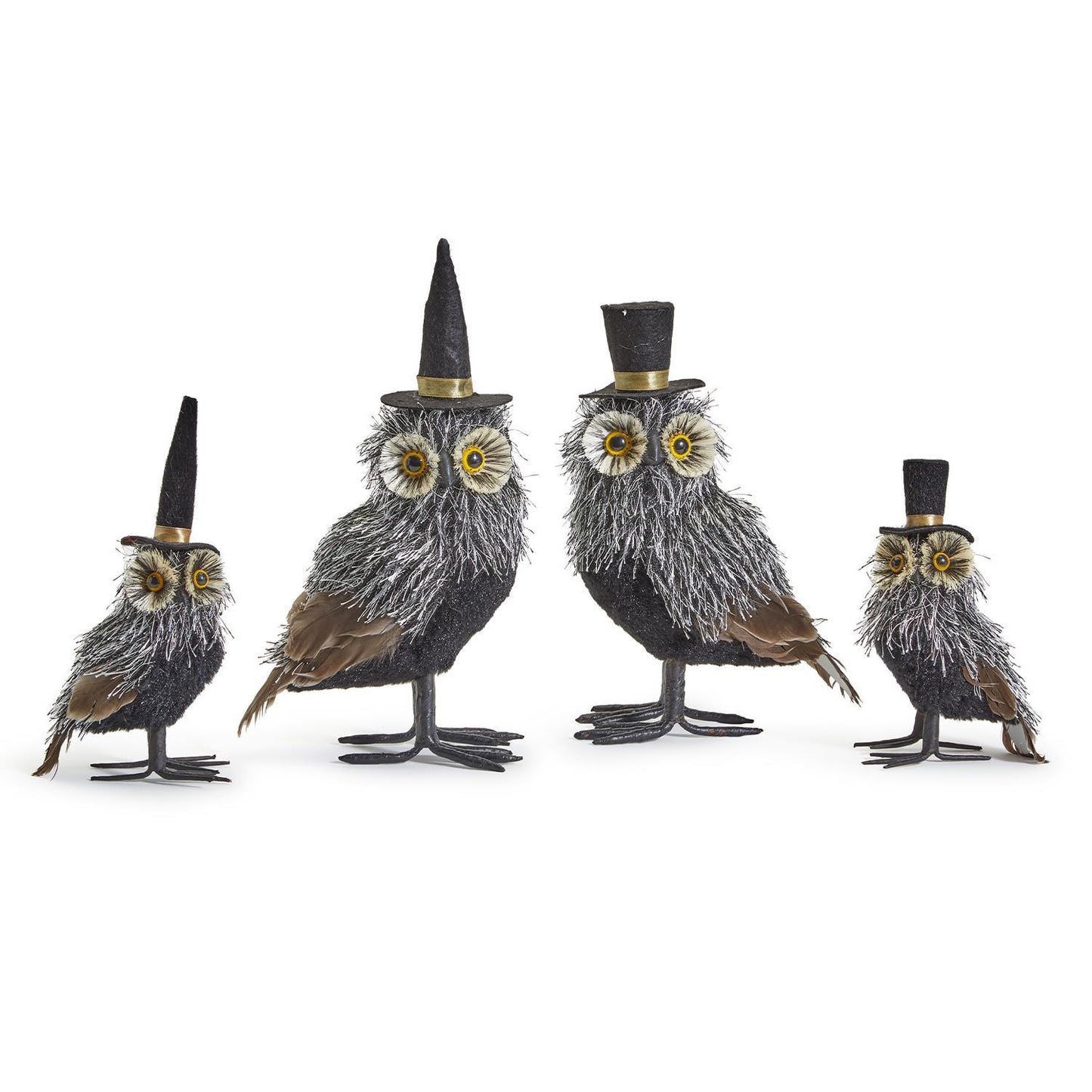 Wise Guy Owls