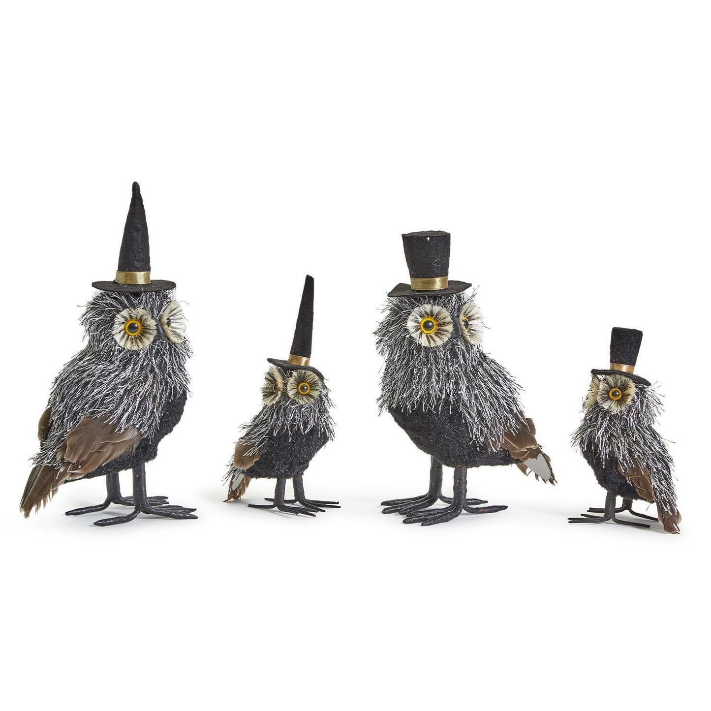 Wise Guy Owls