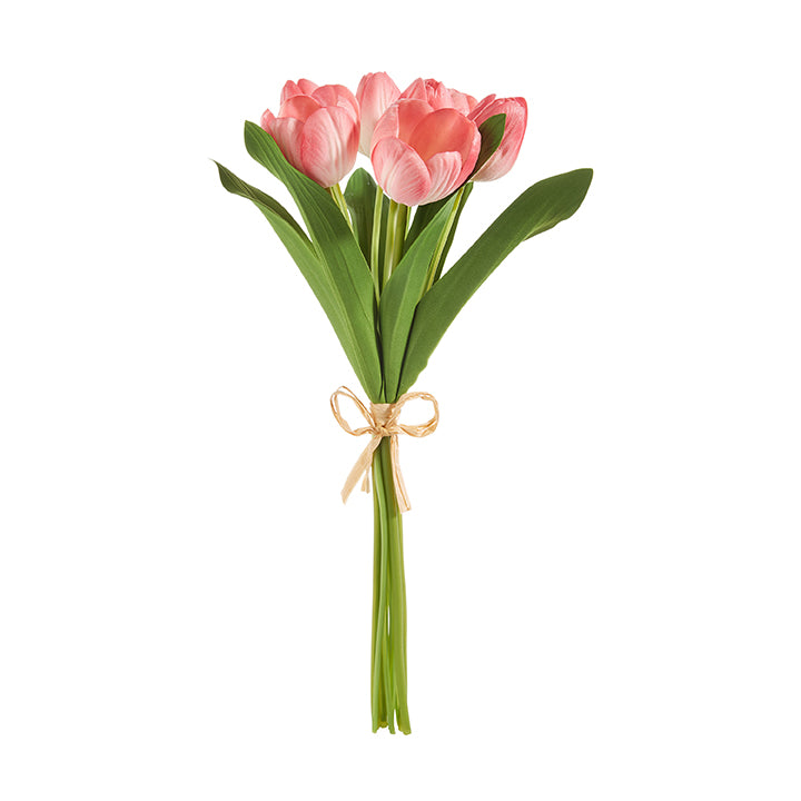 Pink Tulip Bundle