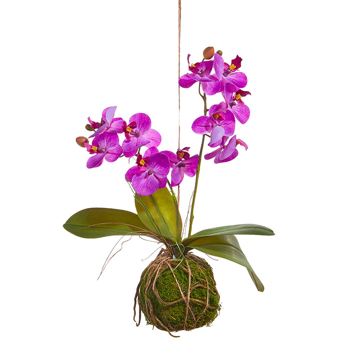 Real Touch 15" Orchid Plant
