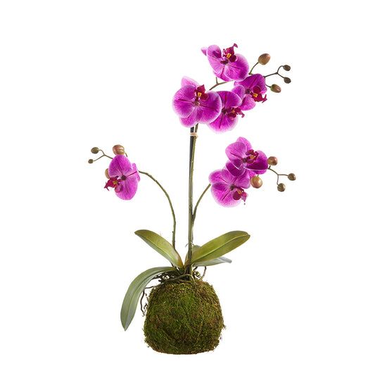 Real Touch Purple Orchid Plant, 23.75"