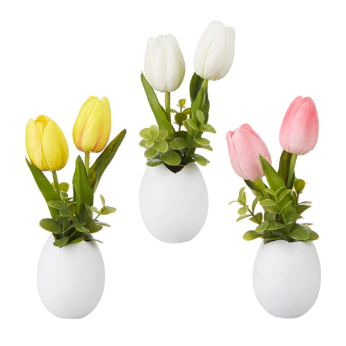 Tulips in Egg