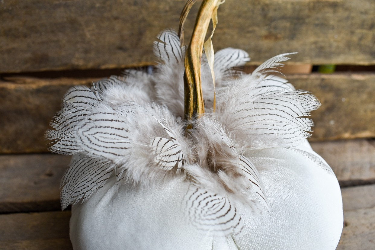 Cream with Silver Pheasant Feathers